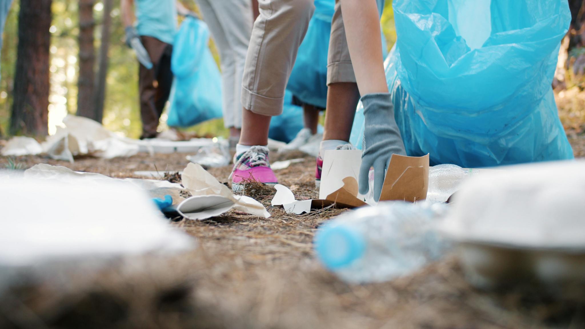 Volunteers cleaning forest area, picking up litter and sorting in bags.
